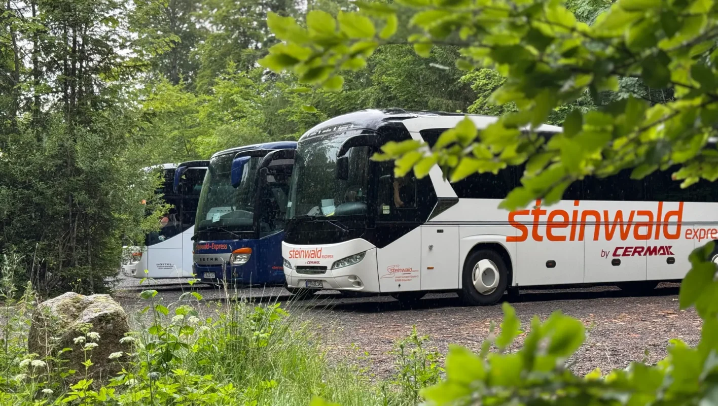 Busse auf einem Parkplatz im Wald