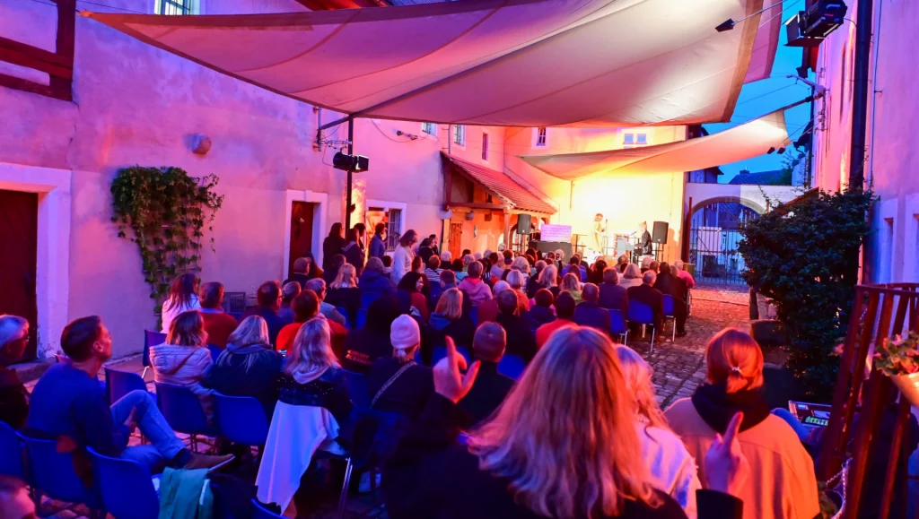 Der Innenhof des Fichtelgebirgsmuseums. Ein Act auf der Bühne, davor ca. 100 Zuschauer.